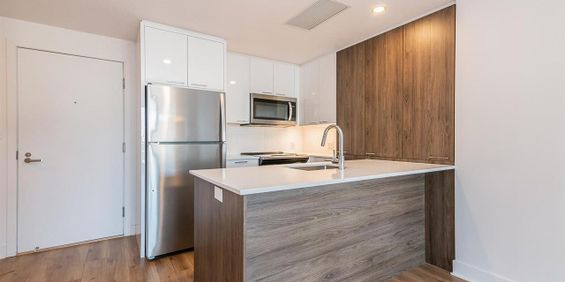 One Bedroom - 693 William Street, Montréal - Photo 3