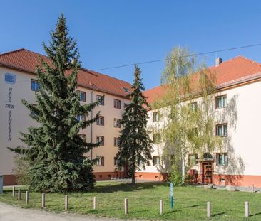 Schöne Erdgeschosswohnung nahe Sportzentrum - Photo 1