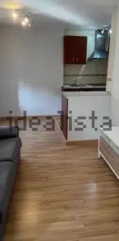 Piso en alquiler en Calle del Lirio - Foto 1