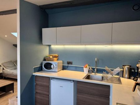 Location Appartement 1 pièce 26m² ROANNE 42300 - Photo 4
