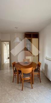 Trilocale in affitto - Photo 1