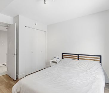 Appartement à Montréal (Mercier/Hochelaga-Maisonneuve) - Photo 3