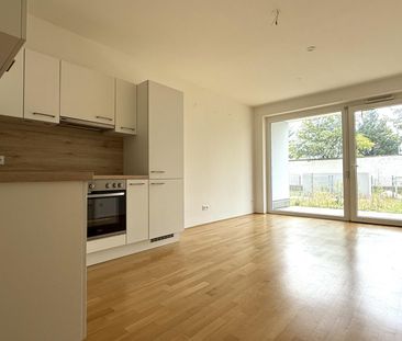 Moderne Neubauwohnung mit EIGENGARTEN und TERRASSE nahe Akademiepark - Foto 2