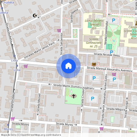 Timis, Timisoara