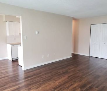 Seafair / Steveston Apartment for Rent - Photo 2