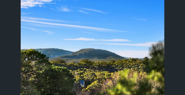 Open home Thursday 3.00 - 3.15 - Photo 1