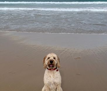 Cheltenham - Photo 3