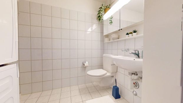 Neugasse 83 – Studio élégant et récemment meublé au cœur de Zurich ! - Foto 1