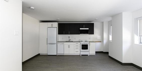 1 Bedroom Type 2 - 3605 Rue Saint-Urbain, Montréal - Photo 3