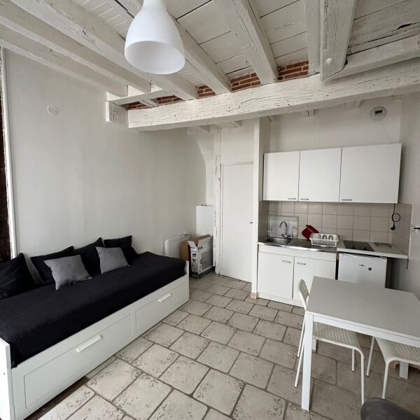 Location Appartement 1 pièce 20m² ORLEANS 45000 - Photo 1