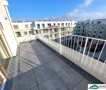 Morgensonne mit Ausblick - Ihr Wohn(t)raum im Tullnerfeld - tolle 2... - Foto 5