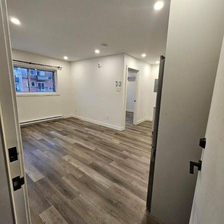 1 CH - 1 SDB - Montréal - $1,425 /mo - Photo 3