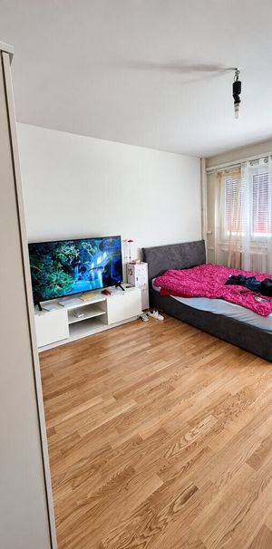 À saisir ! Splendide logement à deux pas de la Gare CFF de Cornavin ! - Photo 1