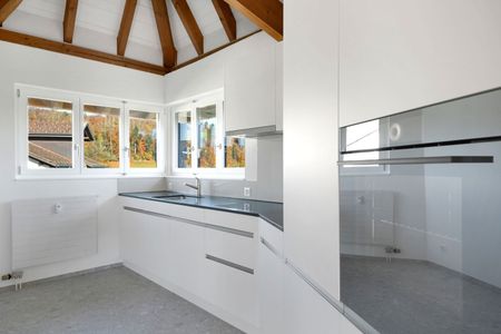 Wohnen, wo andere ihre Freizeit geniessen – 5.5-Zimmer-Dachwohnung in Rapperswil-Jona - Foto 2