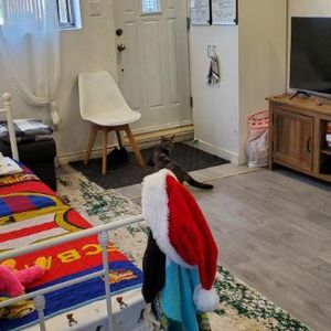 3 1/2 demi sous sol, saint sulpice, Ahuntsic - Photo 2