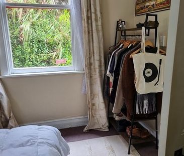 Bush-surrounded 2 bed flat in Aro Valley - Photo 4