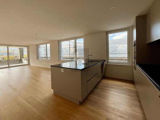 FIRST-USE: LARGE BALCONY, VIEW OF THE ÜETLIBERG - Photo 1