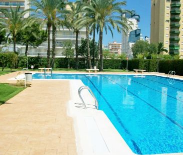 Gandia - Foto 5