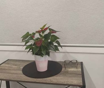 Modern 3-Bedroom Fully Furnished Home – Available - Photo 5