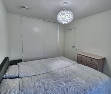 Gaffelseglet, Vega - Photo 4