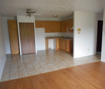 2000-209 Rue Gauthier,(juillet) Sherbrooke, QC J1H 6A5 4½ - Photo 4