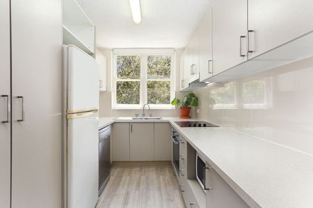 6/11A Byron Street, Coogee - Photo 3