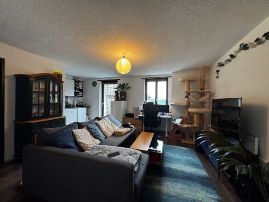 Joli 2.5 pièces avec terrasse - Photo 1