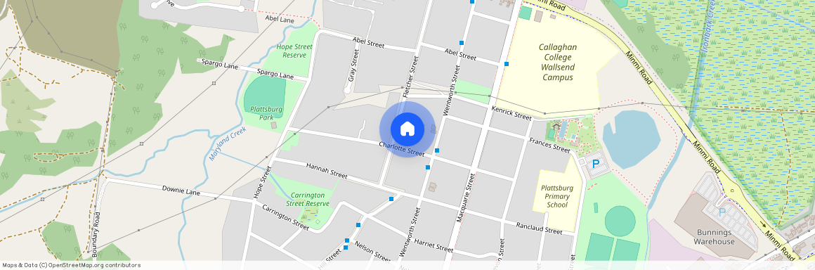 49 Fletcher Street, NSW 2287, Wallsend