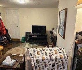 For Lease - 61 Buchanan Street Unit# Lower, Barrie, Ontario - Photo 5