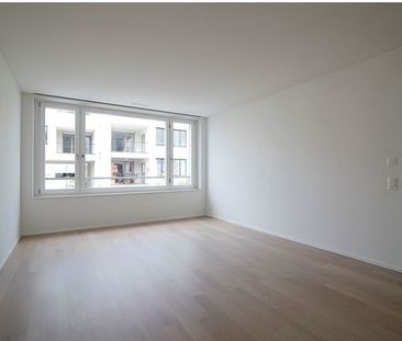 2 ½ Zimmer-Wohnung in Winterthur mieten - Photo 3