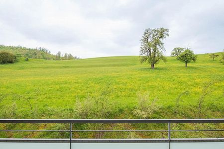Zürcherstrasse 111 - 3.5 Zimmerwohnung in Feuerthalen - Photo 4