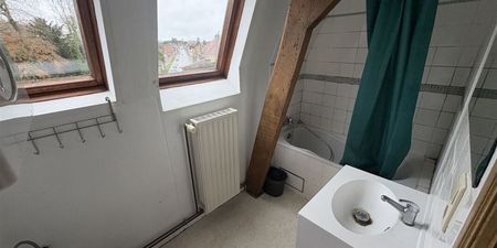 Appartement te huur in Péruwelz voor € 500 met 1 slaapkamer - Photo 5