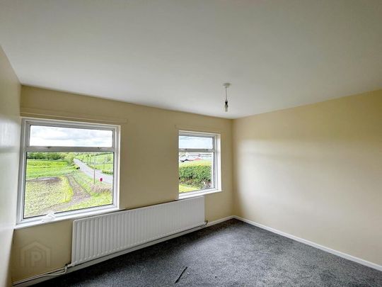 156 Donaghanie Road, Beragh, Omagh, BT79 0XE - Photo 1