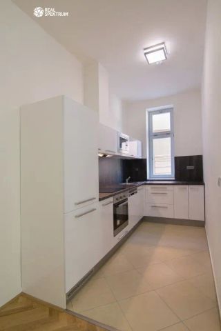 Pronájem krásného bytu 2+kk s balkonem u Lužánek, Brno - Photo 2