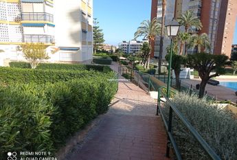 Apartment Benidorm Poniente Winter /Summer Let