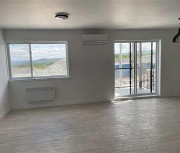 3½ (juillet) 205-908 rue Lamarche, Sherbrooke J1H 0M9 - Photo 1