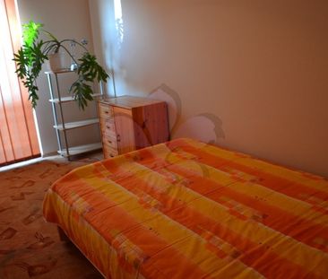 Calm home close to Kassai Campus and Engineering Faculty - Fotó 5