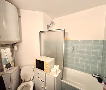 Location Appartement 1 pièce 17m² - Photo 3