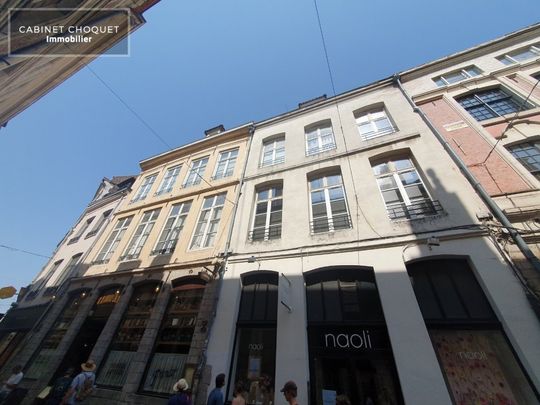 Location Appartement 1 pièce 16m² LILLE 59000 - Photo 1
