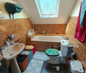 Colocation chaleureuse - Photo 6