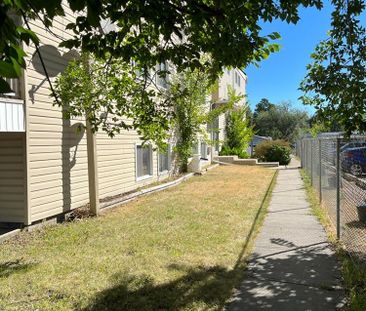 A Rare Find!! 3 Bedroom Apartment in The Pines! - Photo 1