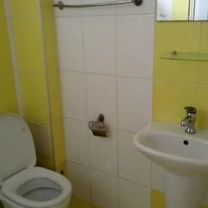 Garsoniera in zona Buziasului - Fotografie 3