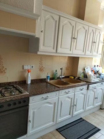 Passeig de la Petxina, Valencia, Valencian Community 46008 - Photo 3