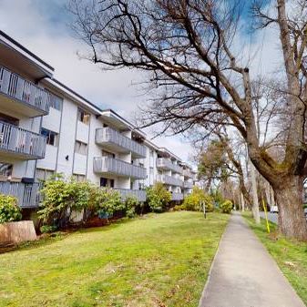 Renovated Jr.2BD+1 Bath - Stanley Manor - Photo 1