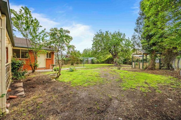 Family Home in Convenient Sebastopol Location - Photo 1