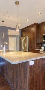 4 1/2 condo meublé tout inclus - disponible à partir du 1er Juillet 2025 - Photo 3