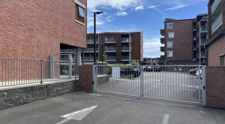 Modern & Stylish Living in the Heart of Hobsonville Point - Photo 3