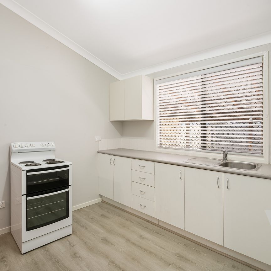 Unit 1/1 Woodstock Street, Mayfield - Photo 1