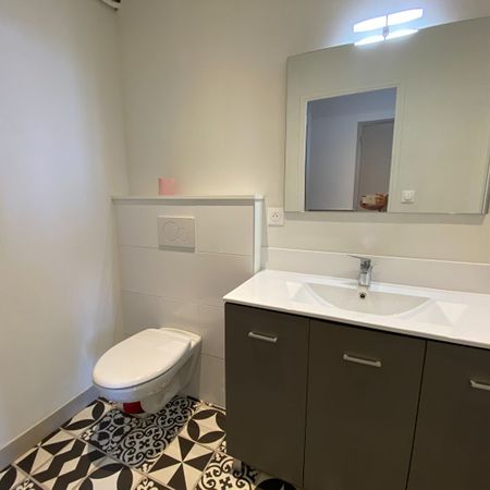 Location Appartement 1 pièce 52m² GAILLAC 81600 - Photo 4