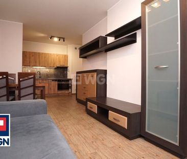 Apartament na wynajem Piotrków Trybunalski, Wyzwolenia - Photo 1